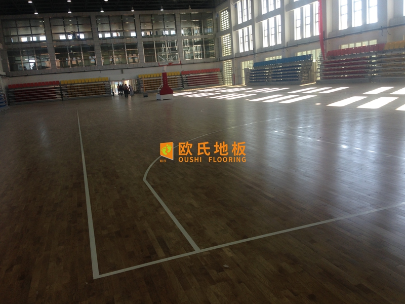 硬木之道,从科学选材到冠军舞台的地板蜕变 硬木之道,从科学选材到冠军舞台的地板蜕变